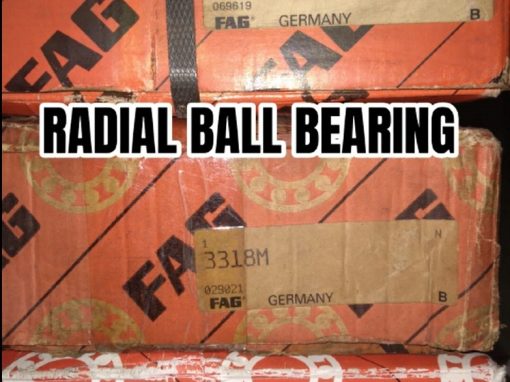 Radial Ball Bearing